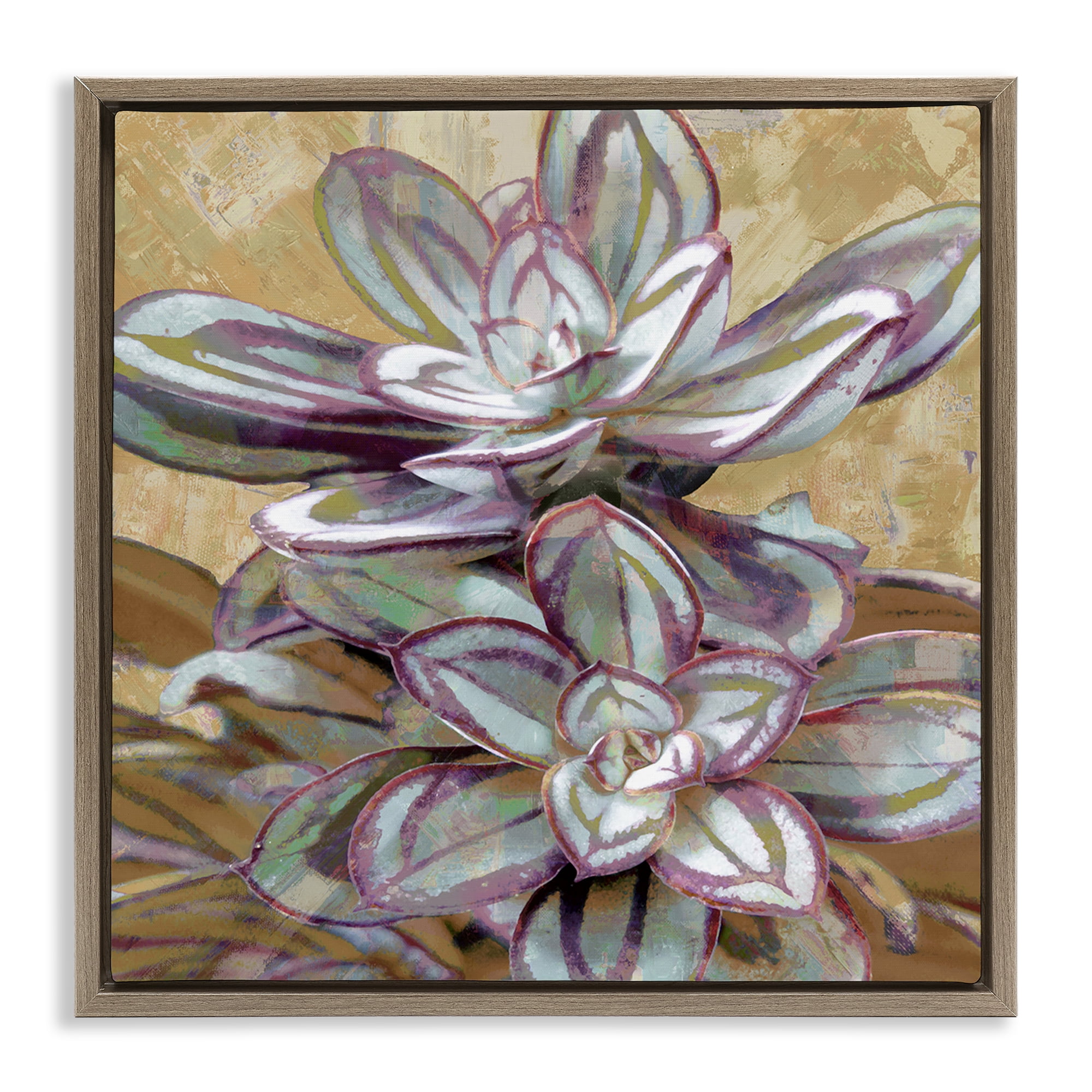 Stupell Industries Rustic Desert Succulents Plants & Flowers Painting Brown Floater Framed Canvas Art Print Wall Art, 25 x 25