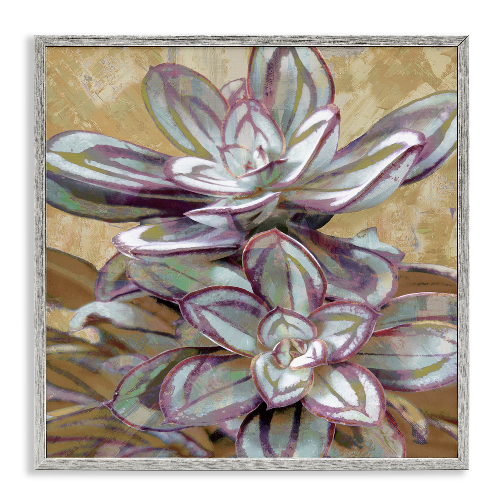 Stupell Industries Rustic Desert Succulents Plants & Flowers Painting Gray Framed Art Print Wall Art, 17 x 17