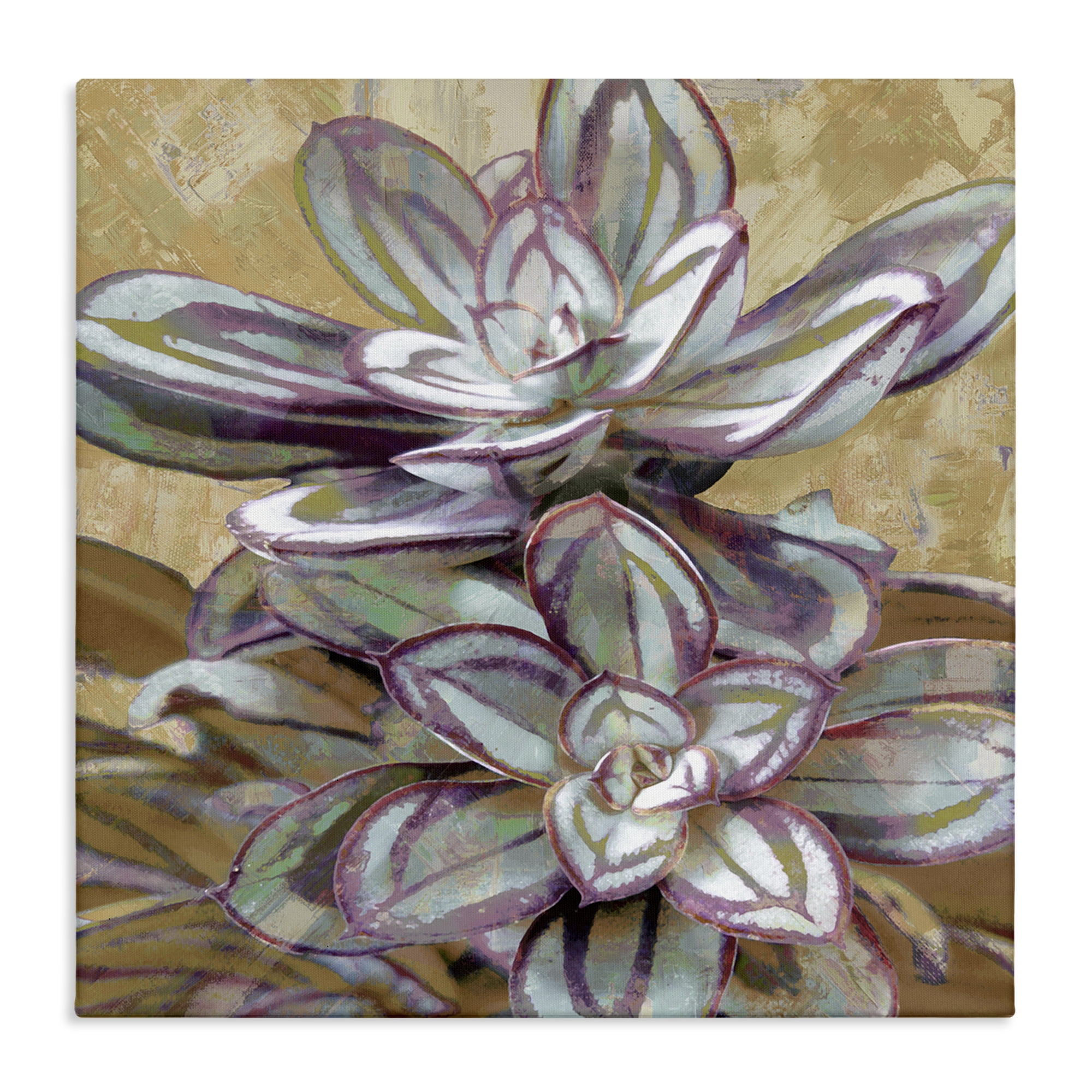 Stupell Industries Rustic Desert Succulents Plants & Flowers Painting Wrapped Canvas Art Print Wall Art, 36 x 36