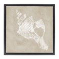 thumbnail image 1 of Stupell Industries Cottage Rustic Distressed Conch Black Floating Frame Canvas Art, 25 x 25, by Carol Robinson, 1 of 8