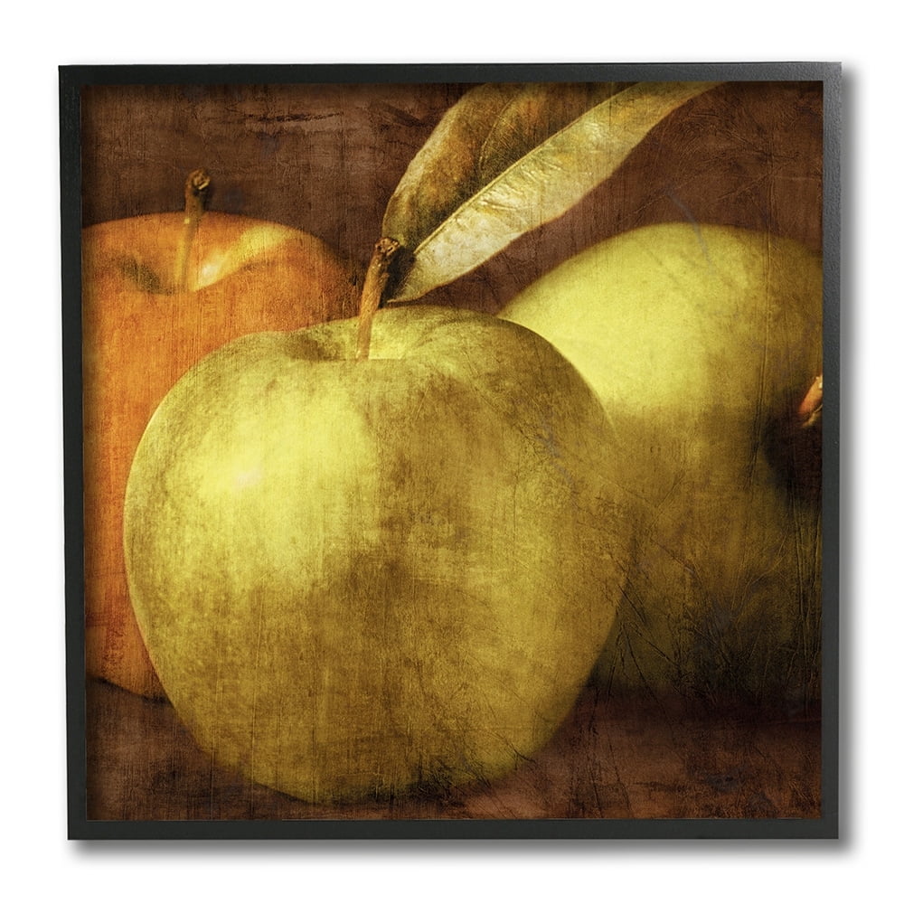 Stupell Industries Rustic Distressed Green Apples Vintage Design Black Framed by Caroline Kelly