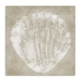 thumbnail image 1 of Stupell Industries Rustic Distressed Seashell Nautical & Beach Painting Wrapped Canvas Art Print Wall Art, 36 x 36, 1 of 8