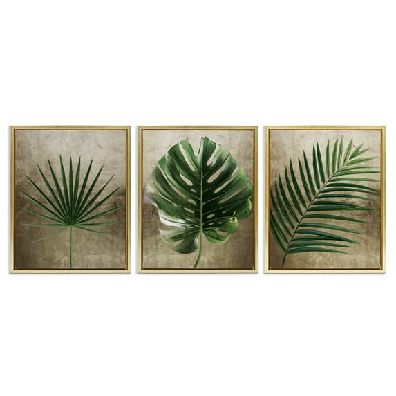 Stupell Industries Rustic Earthy Tropical Leaves 3 Piece Gold Framed Floater Canvas Set design by Anna Lischenko, 31 x 25
