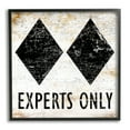 thumbnail image 1 of Stupell Industries Rustic Experts Only Skiing Sports Painting Black Framed Art Print Wall Art, 17 x 17, 1 of 8