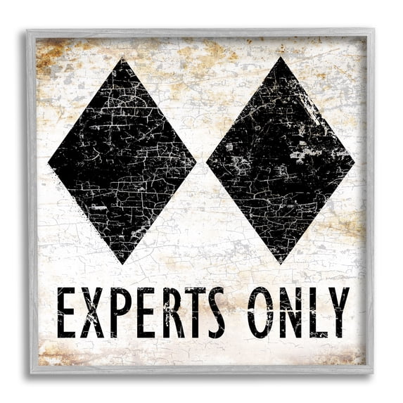 Stupell Industries Rustic Experts Only Skiing Sports Painting Gray Framed Art Print Wall Art, 24 x 24