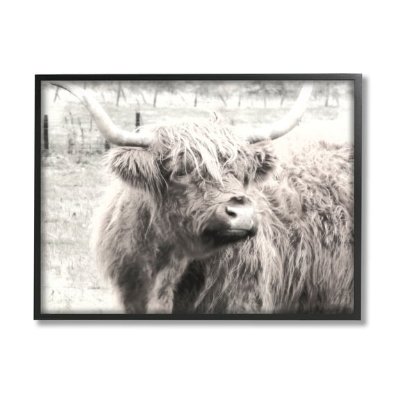Stupell Industries Rustic Farm Highland Cattle Cow Monochrome Photography Photograph Black Framed Art Print Wall Art, Design by Graffitee Studios