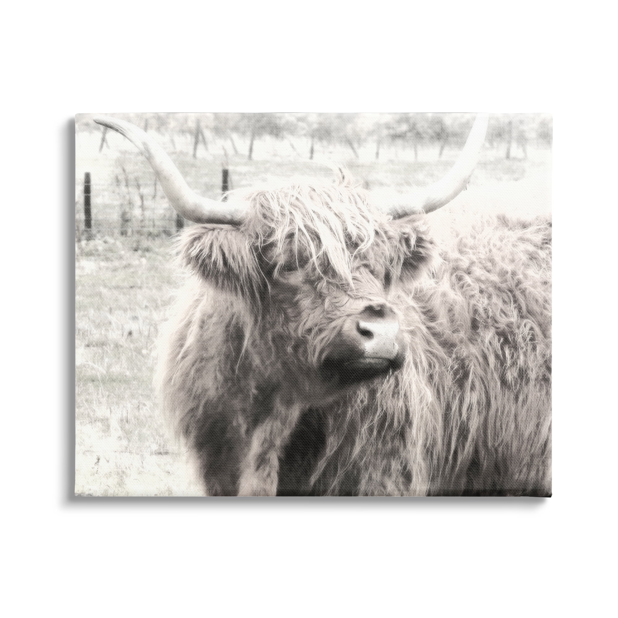 Stupell Industries Rustic Farm Highland Cattle Cow Monochrome Photography Photograph Gallery Wrapped Canvas Print Wall Art, Design by Graffitee Studios