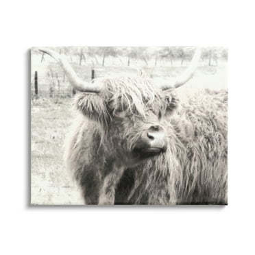 Stupell Industries Rustic Farm Highland Cattle Cow Monochrome Photography Photograph Gallery Wrapped Canvas Print Wall Art, Design by Graffitee Studios