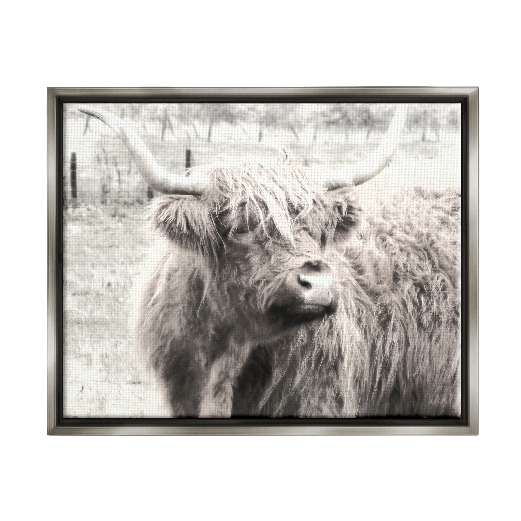 Stupell Industries Rustic Farm Highland Cattle Cow Monochrome Photography Photograph Luster Gray Floating Framed Canvas Print Wall Art, Design by Graffitee Studios