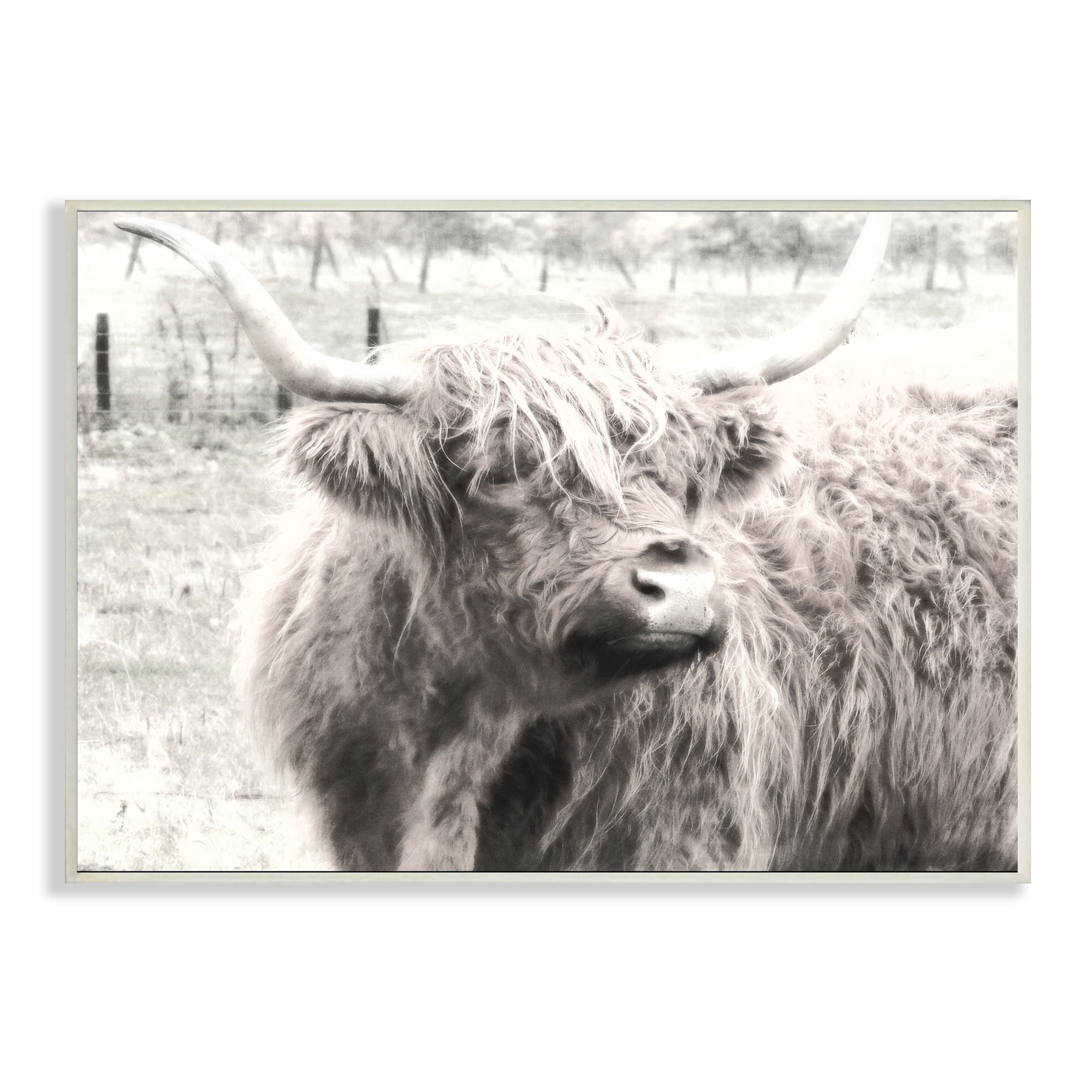 Stupell Industries Rustic Farm Highland Cattle Cow Monochrome Photography Photograph Unframed Art Print Wall Art, Design by Graffitee Studios