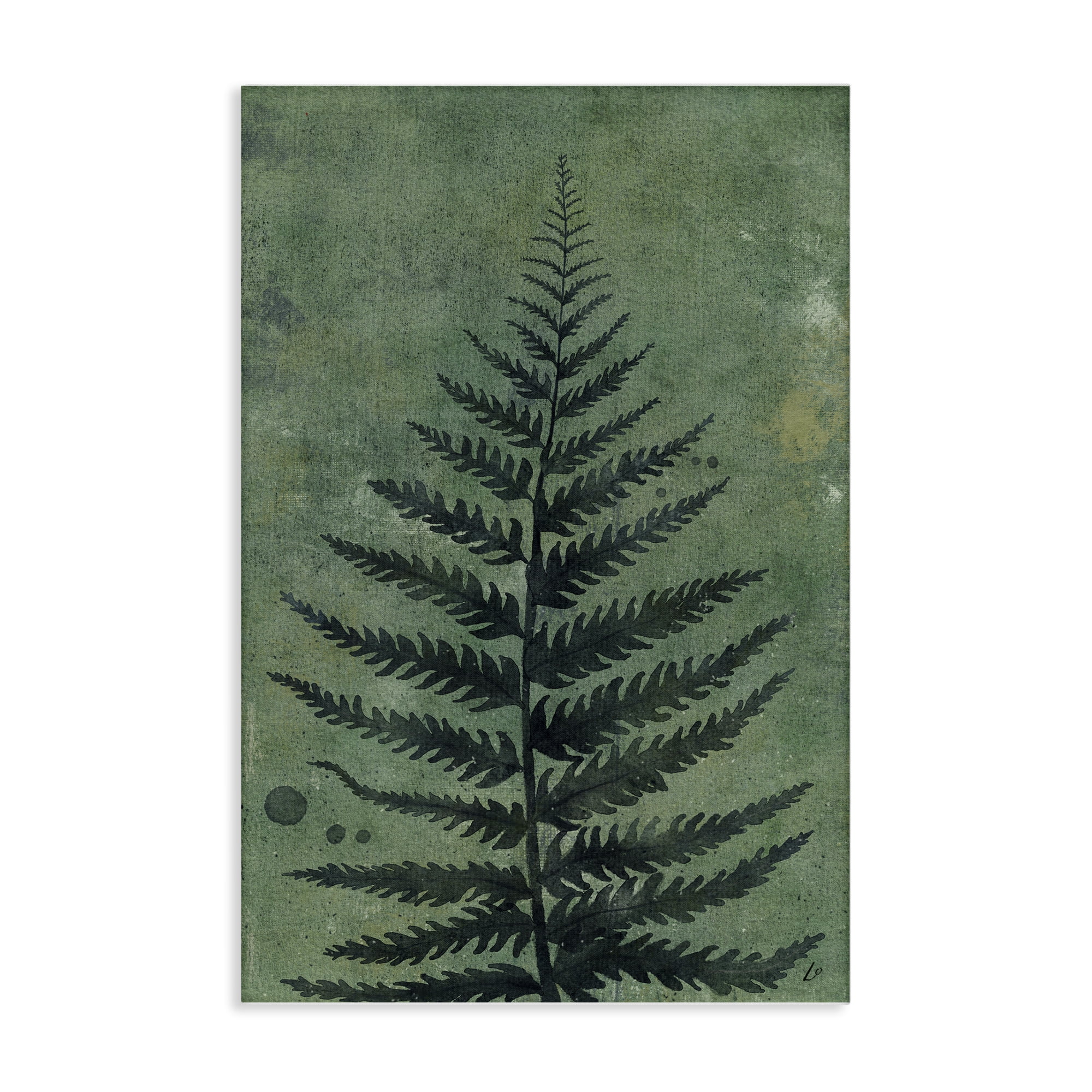 Stupell Industries Rustic Fern Impression Plants & Flowers Painting Wrapped Canvas Art Print Wall Art, 20 x 30