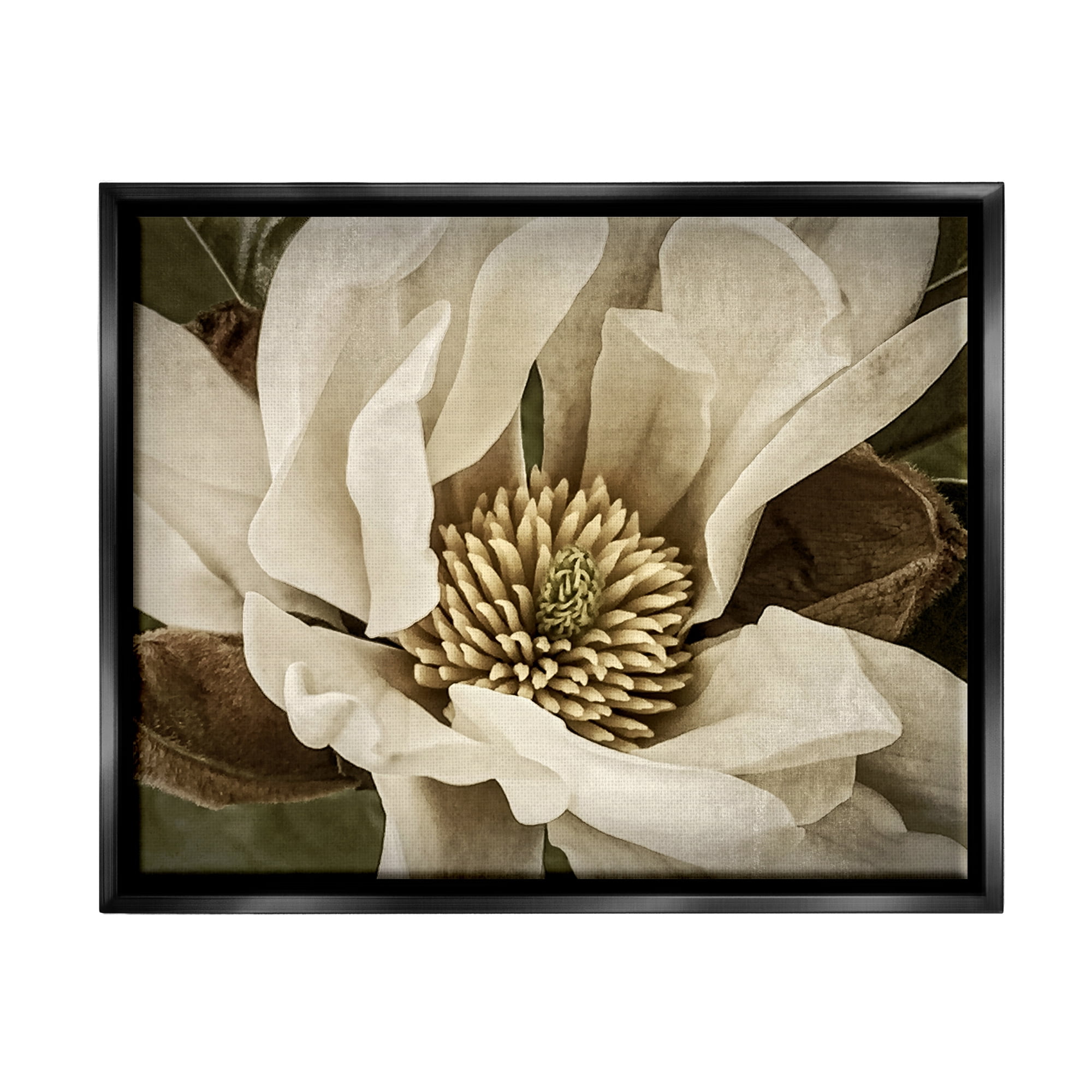 Stupell Industries Rustic Flower Close Up Botanical & Floral Photography Black Floater Framed Canvas Art Print Wall Art, 21 x 17