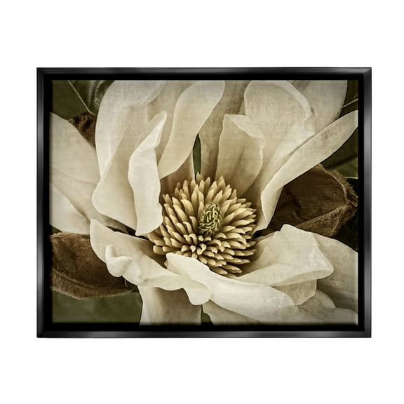 Stupell Industries Rustic Flower Close Up Botanical & Floral Photography Black Floater Framed Canvas Art Print Wall Art, 21 x 17