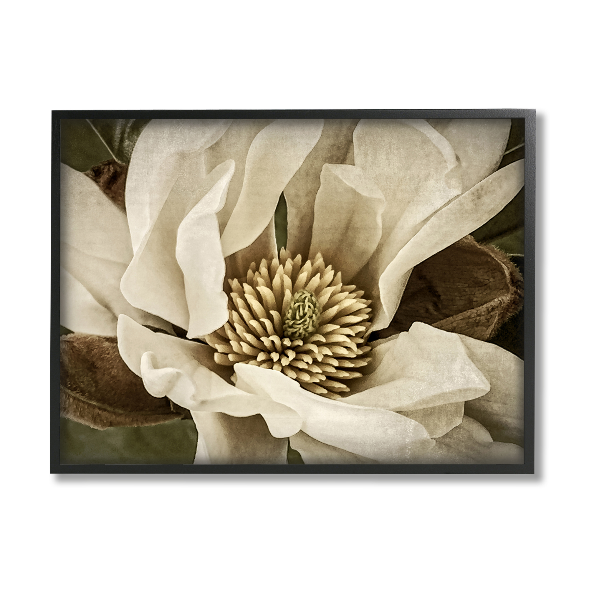 Stupell Industries Rustic Flower Close Up Botanical & Floral Photography Black Framed Art Print Wall Art, 30 x 24