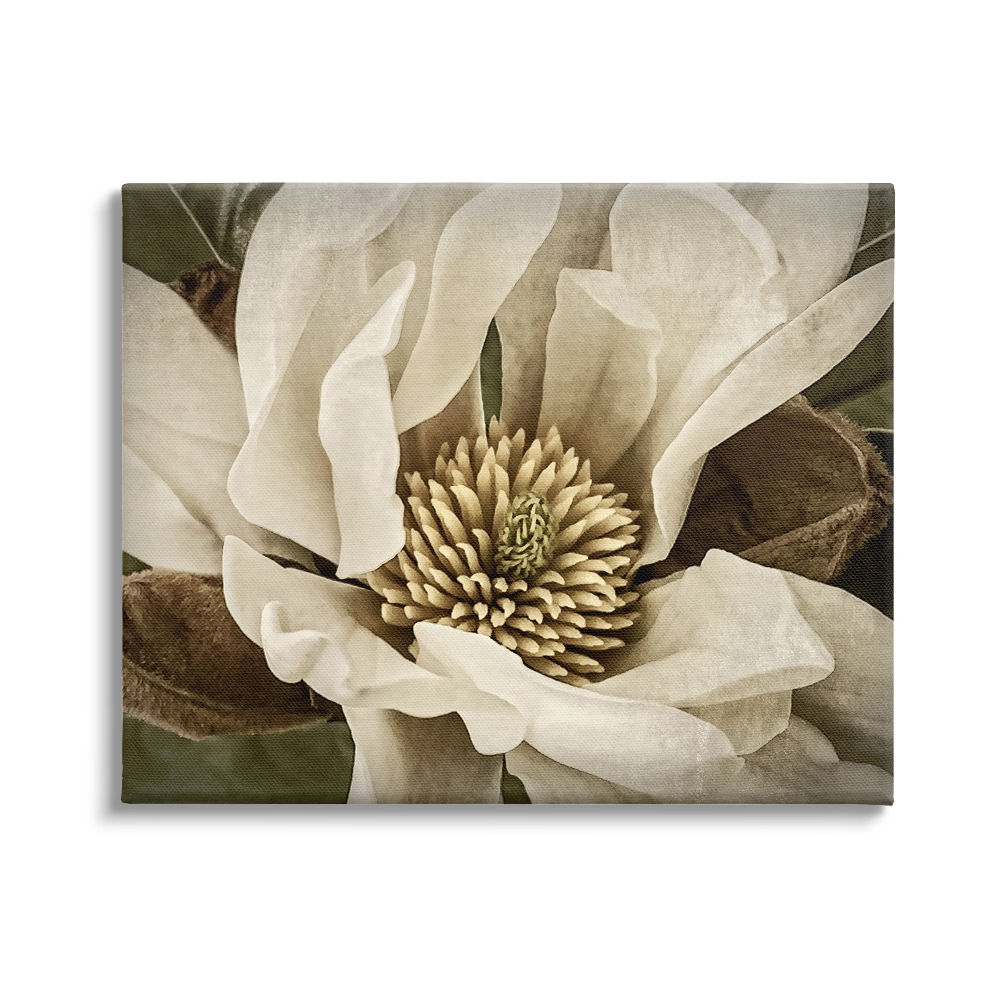 Stupell Industries Rustic Flower Close Up Botanical & Floral Photography Gallery Wrapped Canvas Art Print Wall Art, 40 x 30