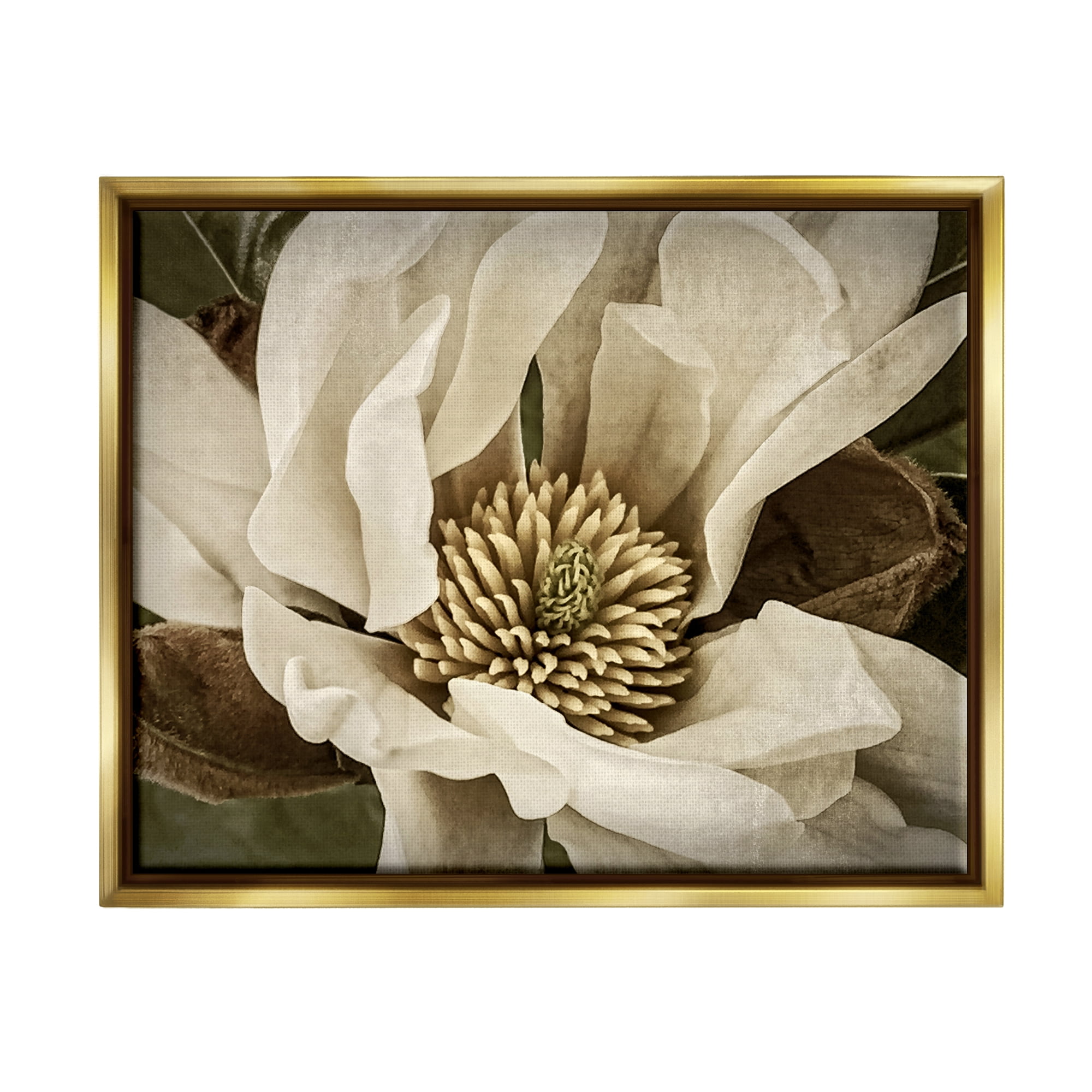 Stupell Industries Rustic Flower Close Up Botanical & Floral Photography Gold Floater Framed Canvas Art Print Wall Art, 31 x 25