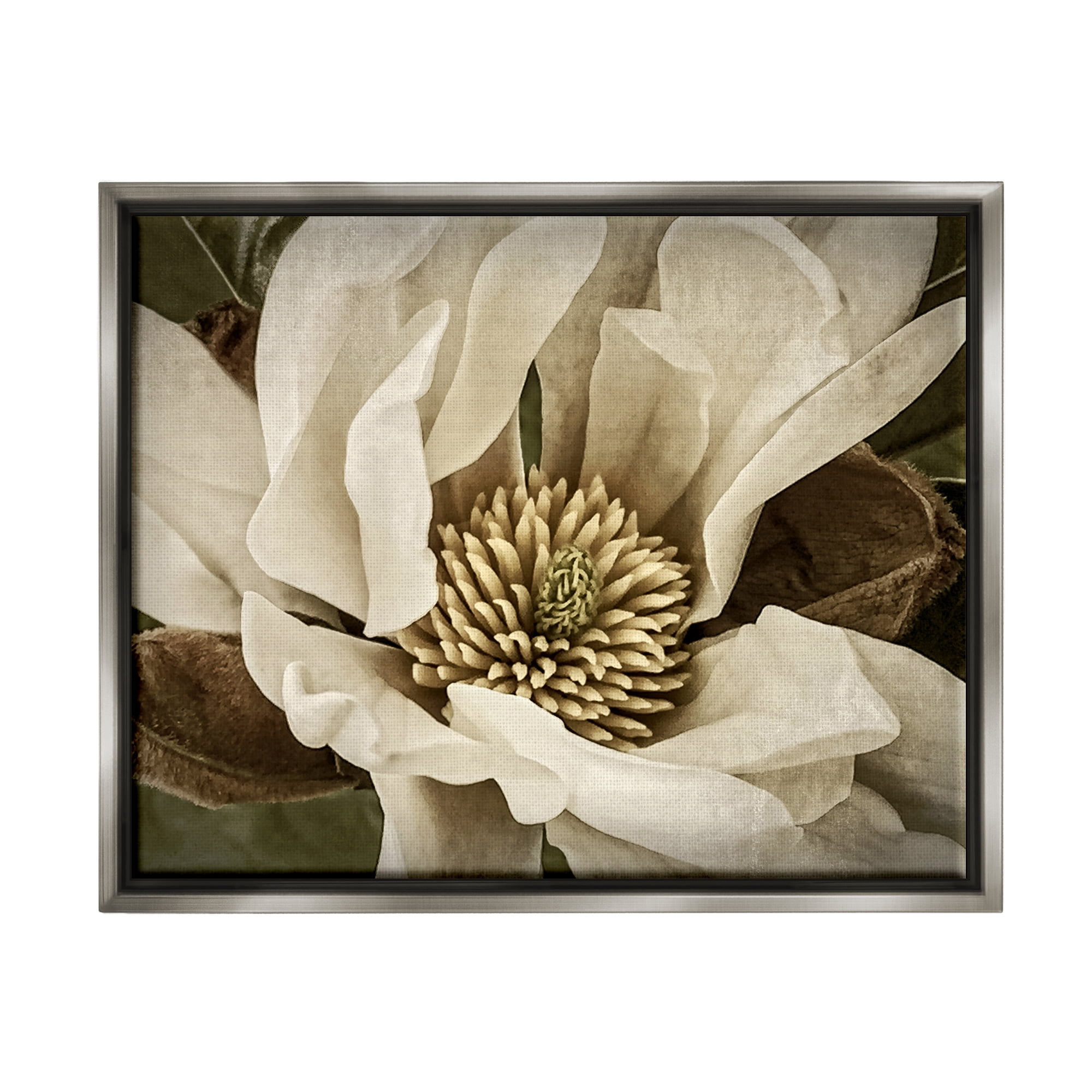 Stupell Industries Rustic Flower Close Up Botanical & Floral Photography Gray Floater Framed Canvas Art Print Wall Art, 31 x 25