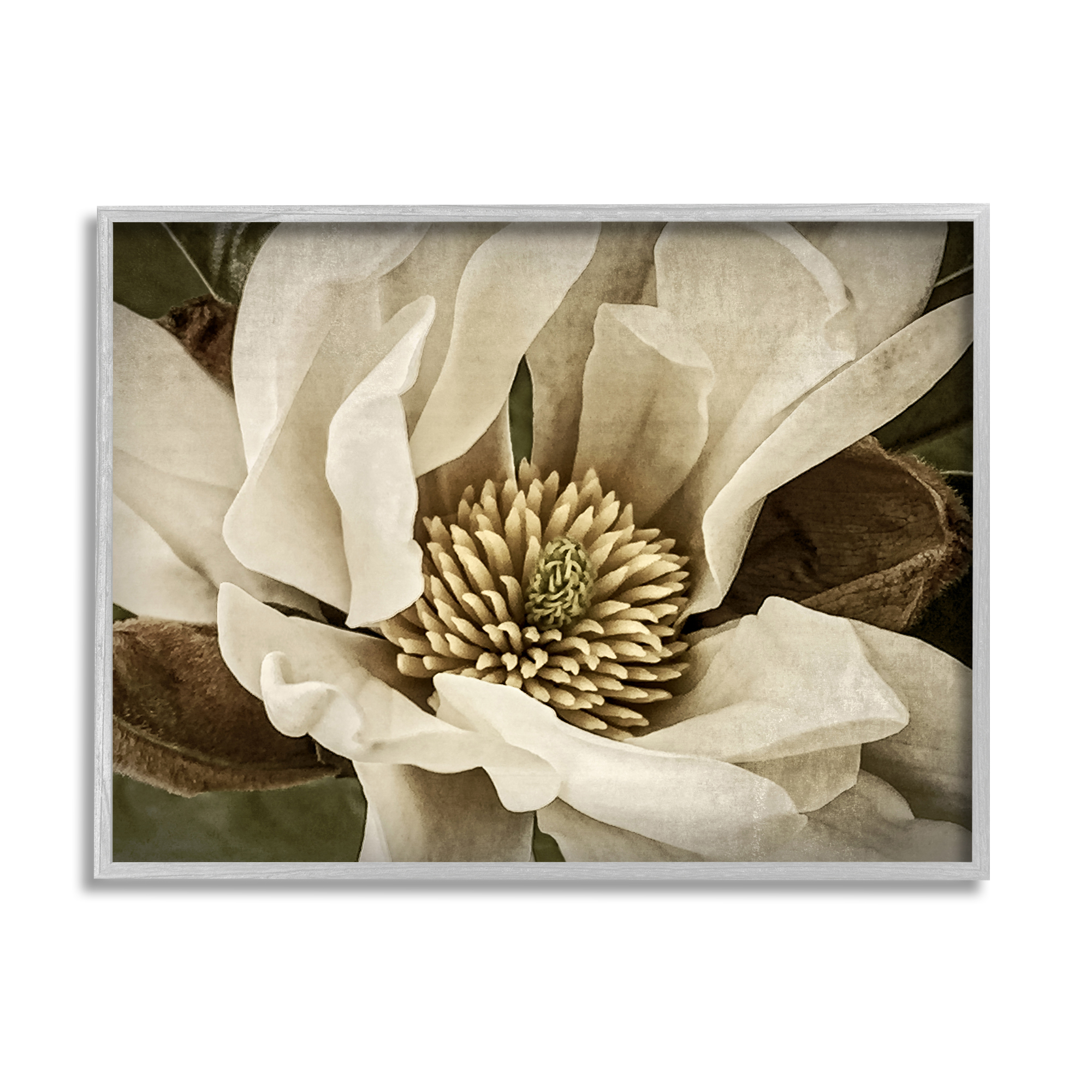 Stupell Industries Rustic Flower Close Up Botanical & Floral Photography Gray Framed Art Print Wall Art, 20 x 16