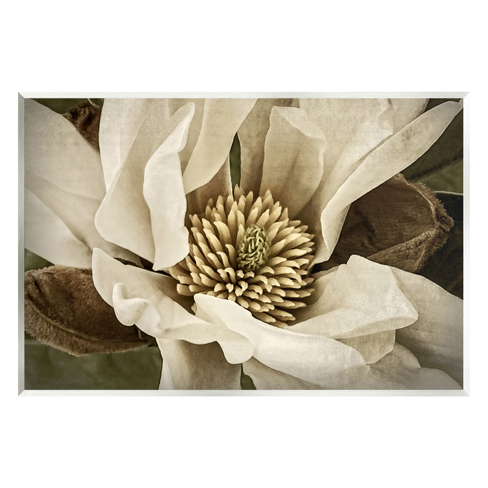 Stupell Industries Rustic Flower Close Up Botanical & Floral Photography Unframed Art Print Wall Art, 15 x 10