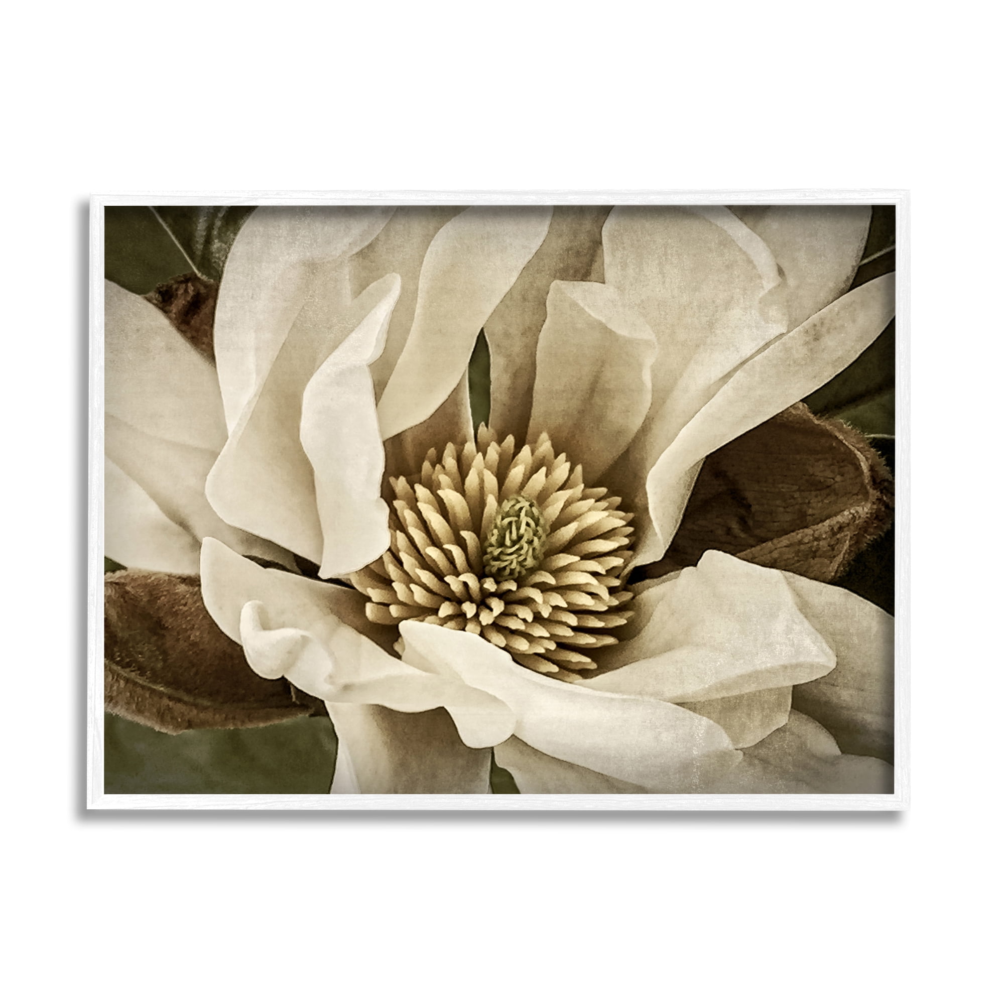 Stupell Industries Rustic Flower Close Up Botanical & Floral Photography White Framed Art Print Wall Art, 20 x 16