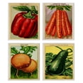 thumbnail image 1 of Stupell Industries Rustic Garden Vegetables Food & Beverage Painting White Framed Art Print Wall Art, 11 x 14, Set of 4, 1 of 8