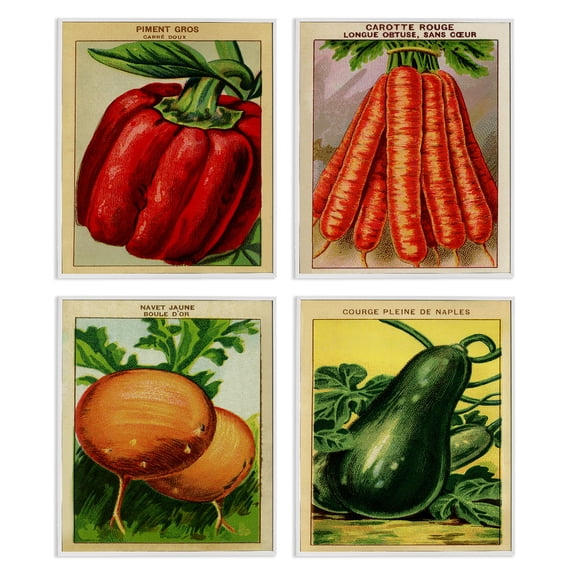 Stupell Industries Rustic Garden Vegetables Food & Beverage Painting White Framed Art Print Wall Art, 11 x 14, Set of 4