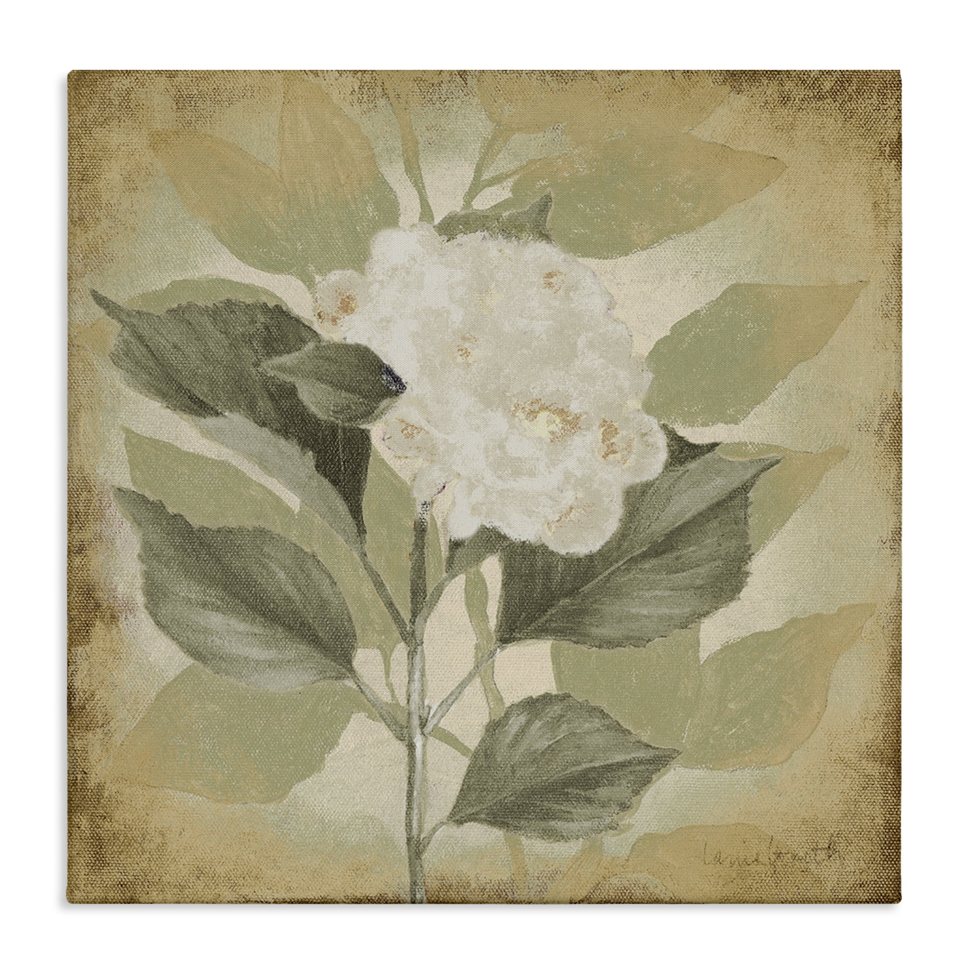 Stupell Industries Rustic Geranium Impression Plants & Flowers Painting Wrapped Canvas Art Print Wall Art, 36 x 36