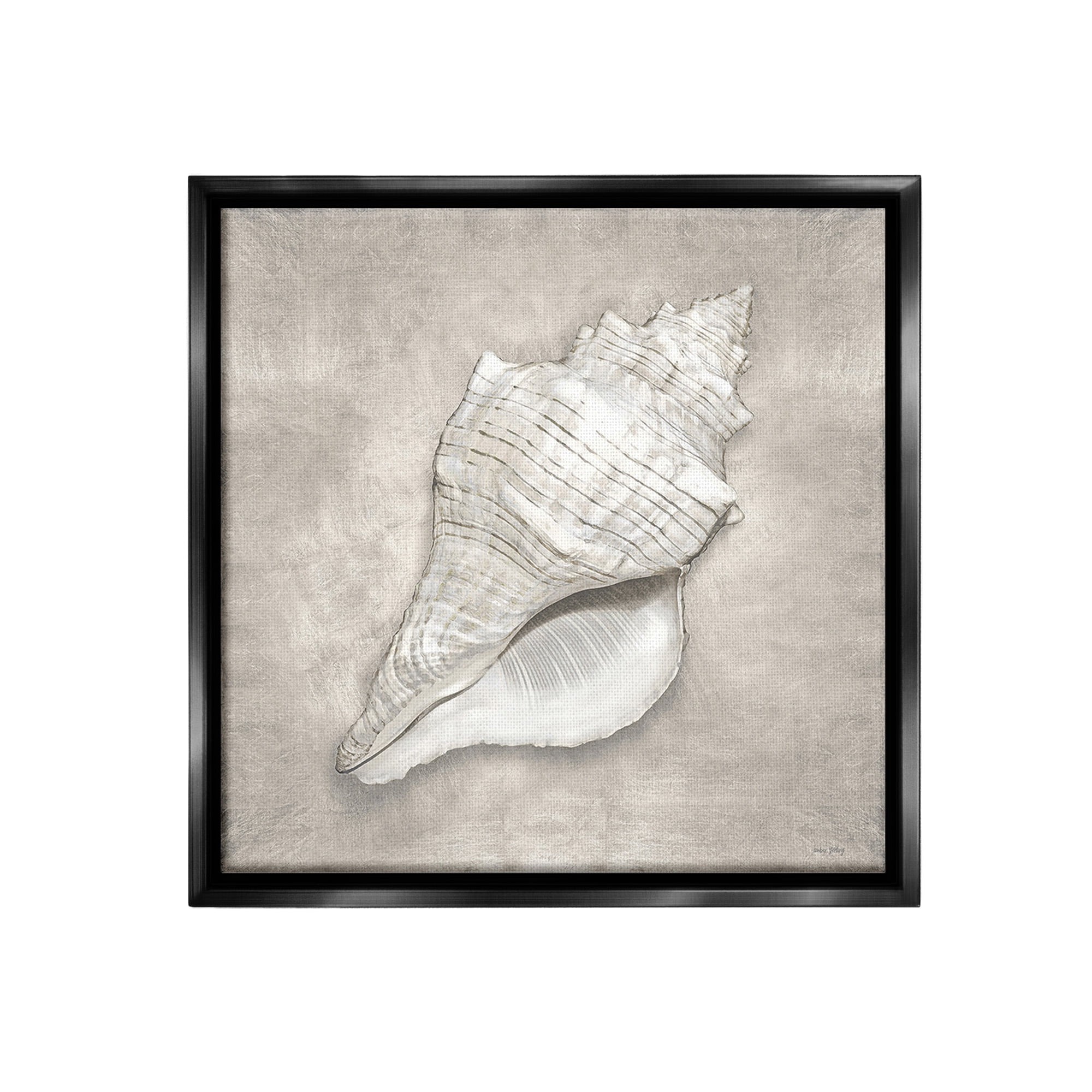 Stupell Industries Rustic Grey Conch Shell Nature Painting Black Floater Framed Canvas Art Print Wall Art, 25 x 25