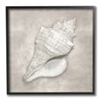 thumbnail image 1 of Stupell Industries Rustic Grey Conch Shell Nature Painting Black Framed Art Print Wall Art, 24 x 24, 1 of 9