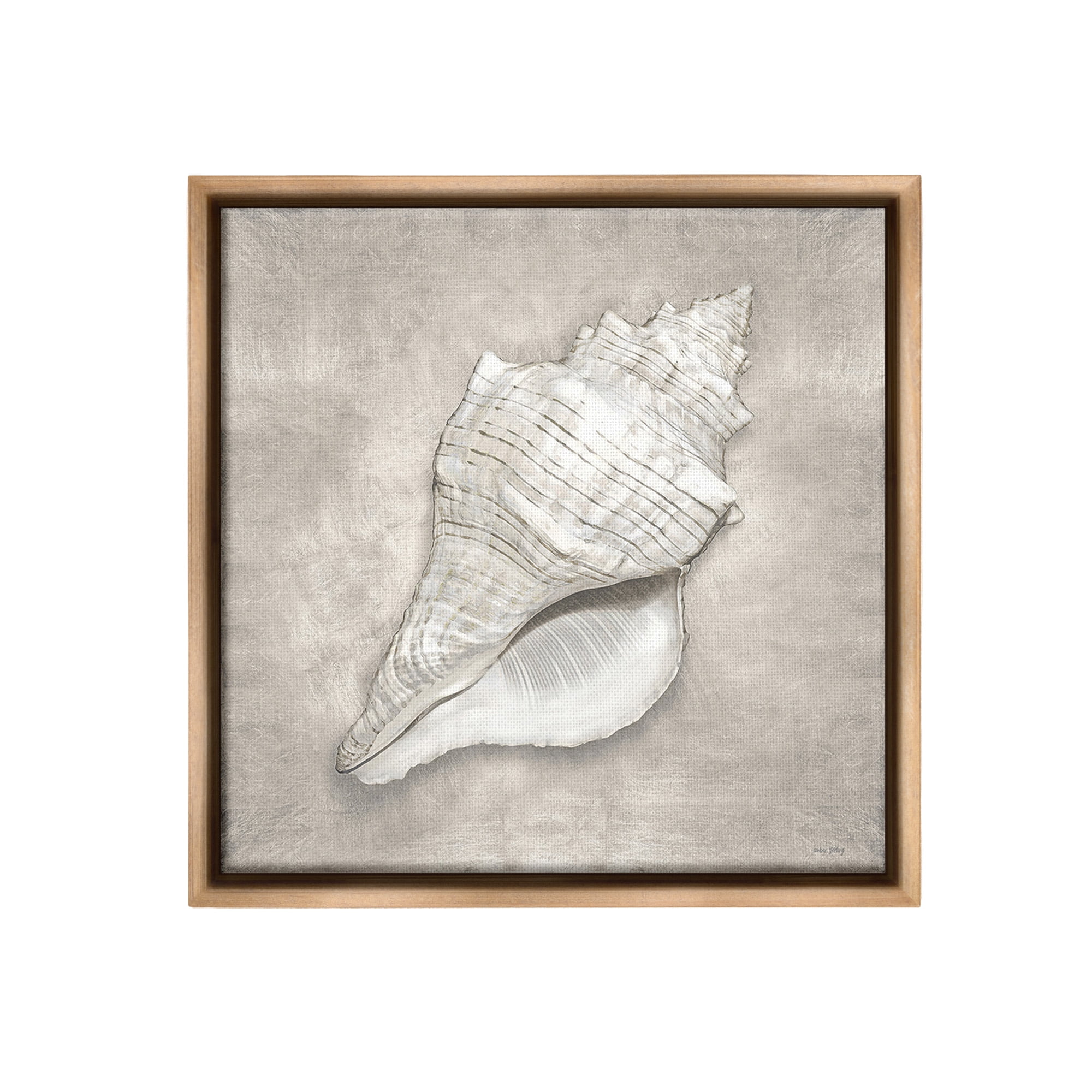Stupell Industries Rustic Grey Conch Shell Nature Painting Brown Floater Framed Canvas Art Print Wall Art, 18 x 18
