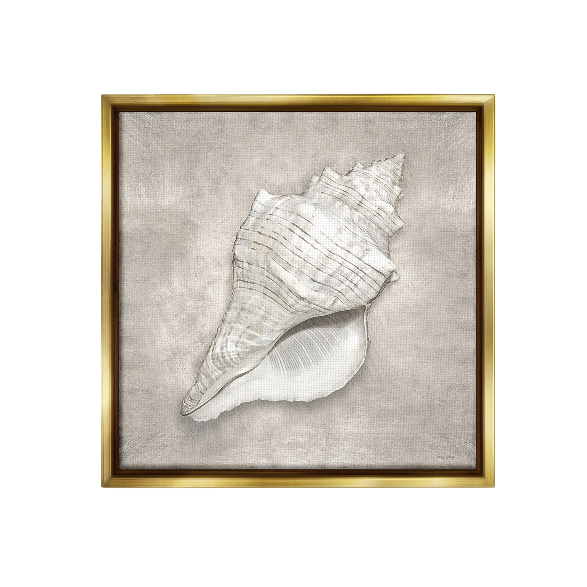 Stupell Industries Rustic Grey Conch Shell Nature Painting Gold Floater Framed Canvas Art Print Wall Art, 18 x 18