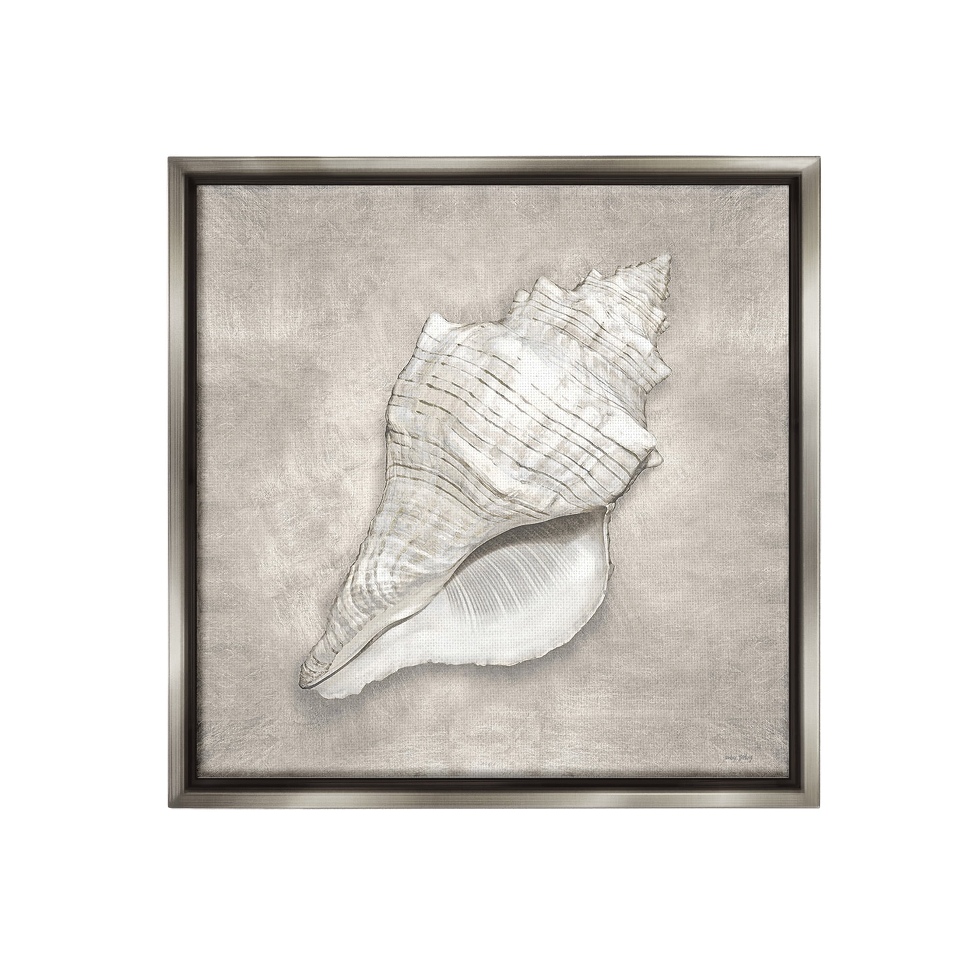 Stupell Industries Rustic Grey Conch Shell Nature Painting Gray Floater Framed Canvas Art Print Wall Art, 18 x 18