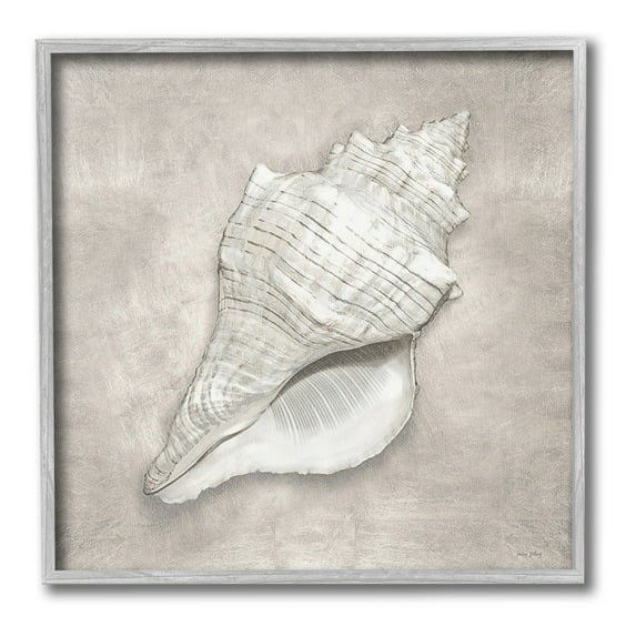 Stupell Industries Rustic Grey Conch Shell Nature Painting Gray Framed Art Print Wall Art, 12 x 12