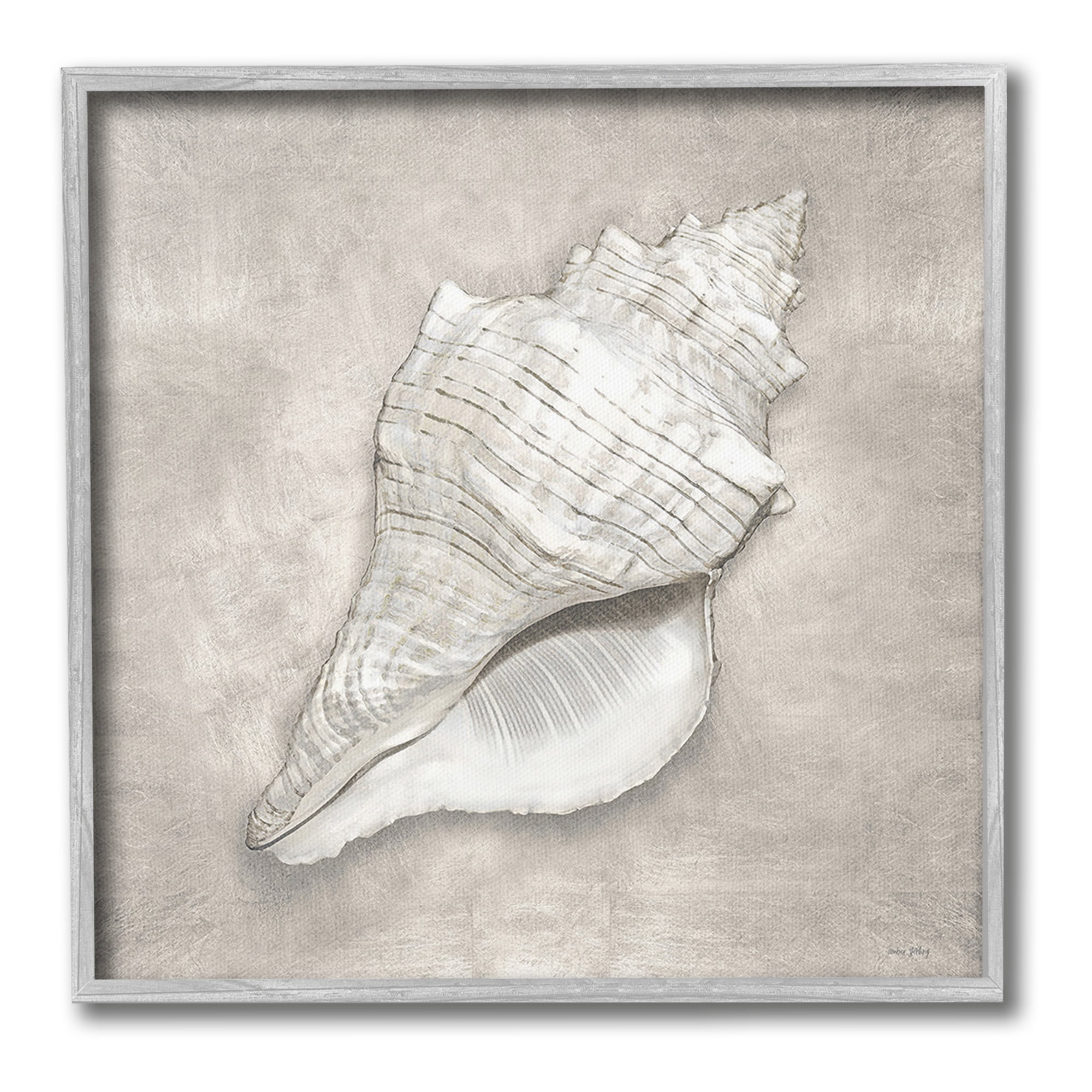 Stupell Industries Rustic Grey Conch Shell Nature Painting Gray Framed Art Print Wall Art, 17 x 17