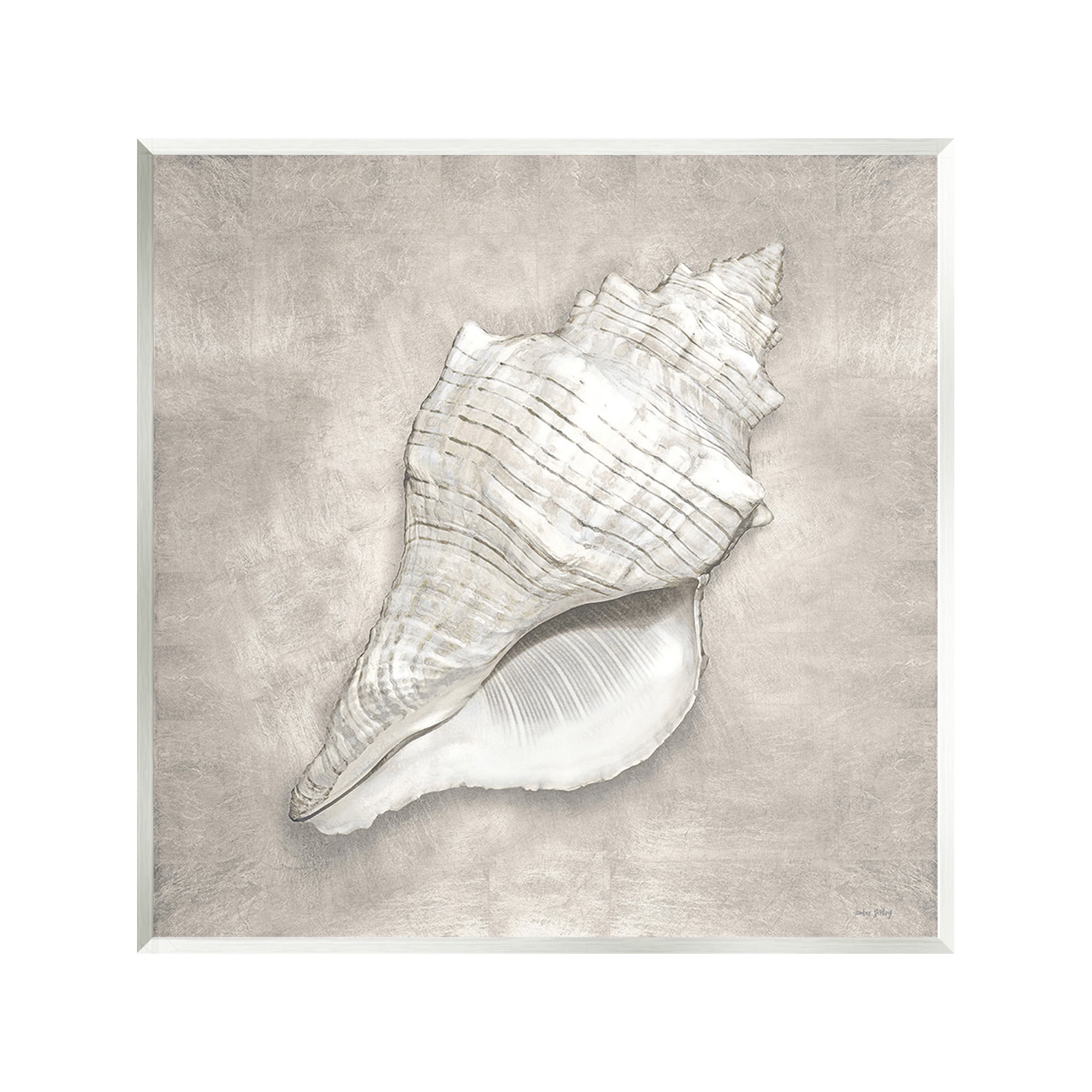 Stupell Industries Rustic Grey Conch Shell Nature Painting Unframed Art Print Wall Art, 12 x 12
