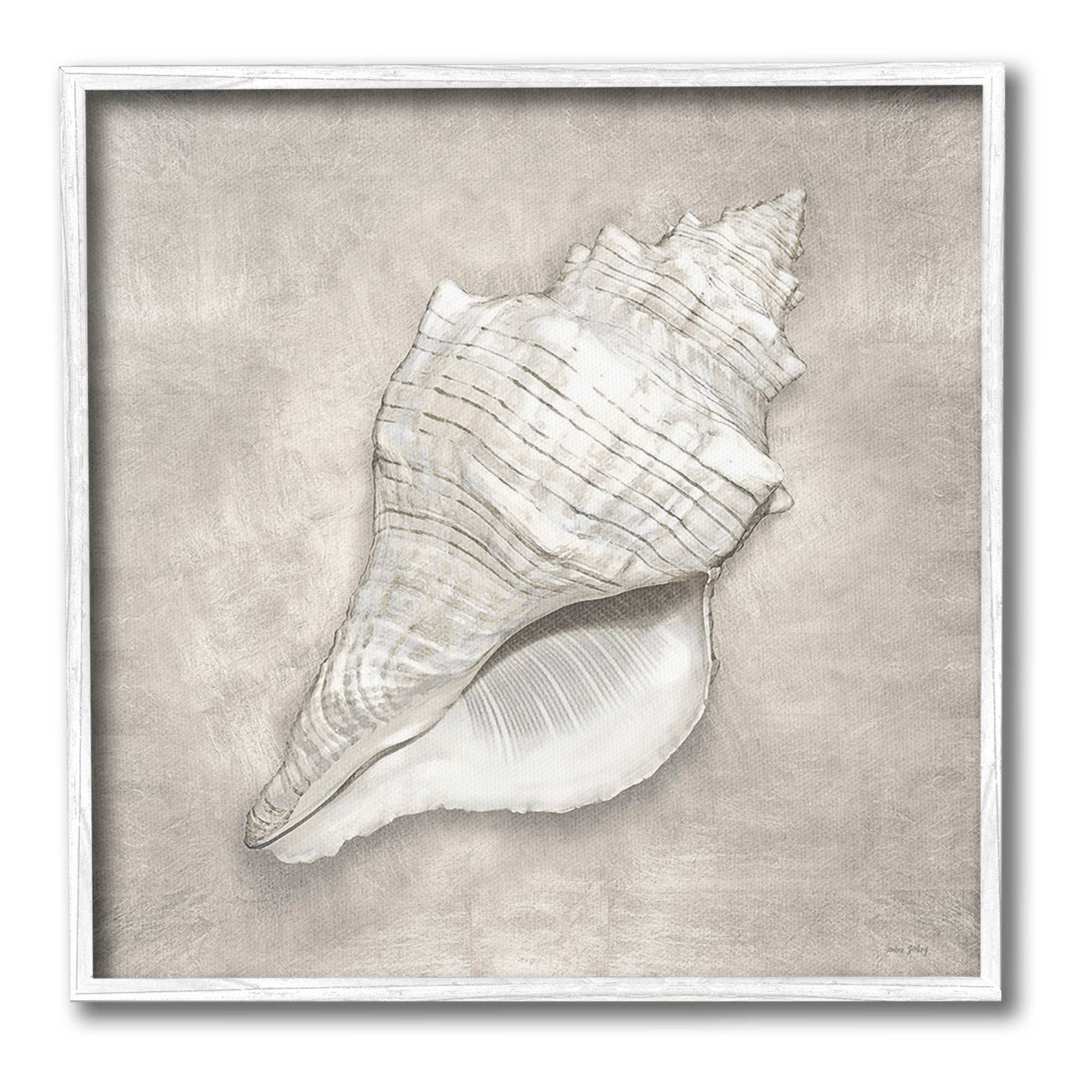Stupell Industries Rustic Grey Conch Shell Nature Painting White Framed Art Print Wall Art, 17 x 17