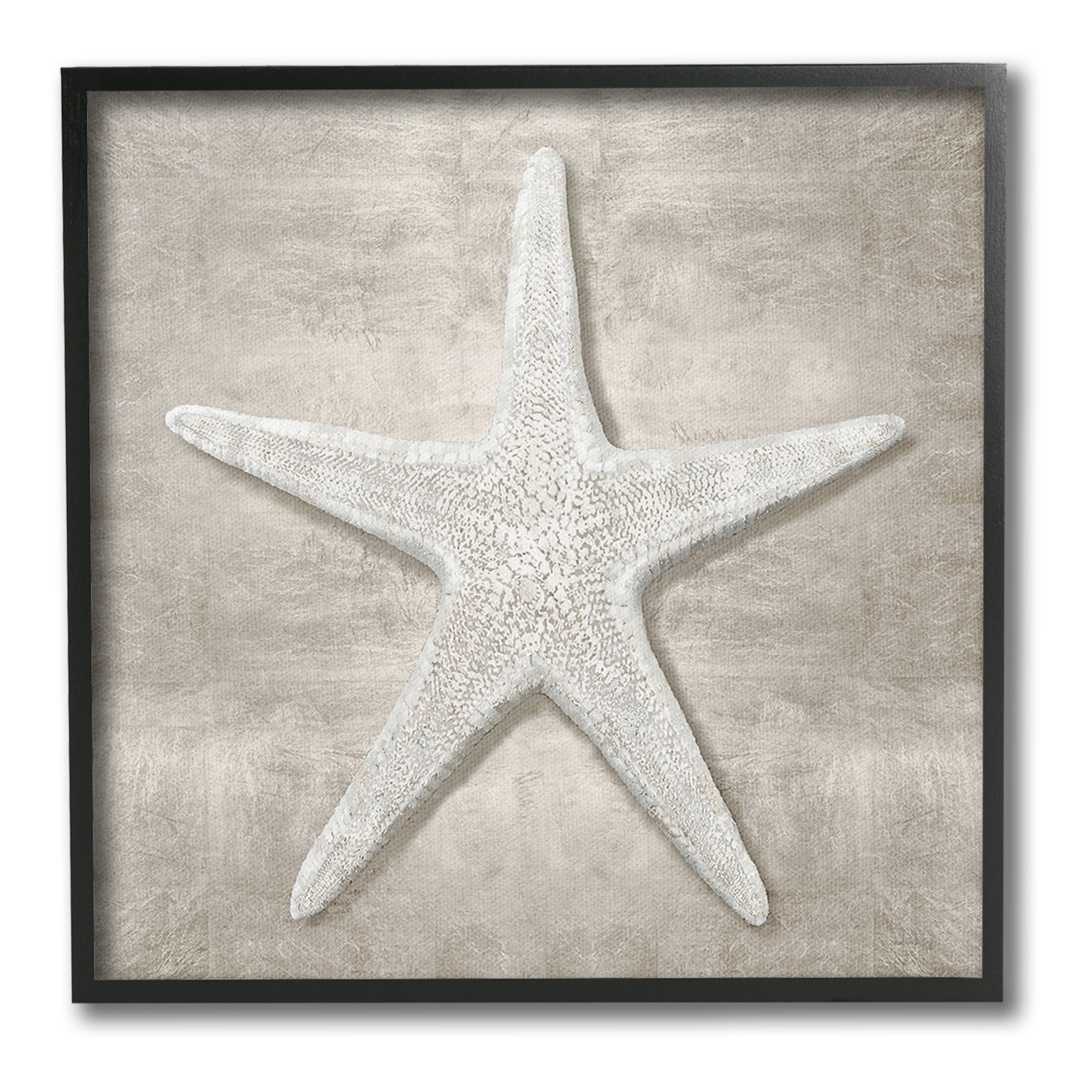 Stupell Industries Rustic Grey Starfish Nature Painting Black Framed Art Print Wall Art, 17 x 17