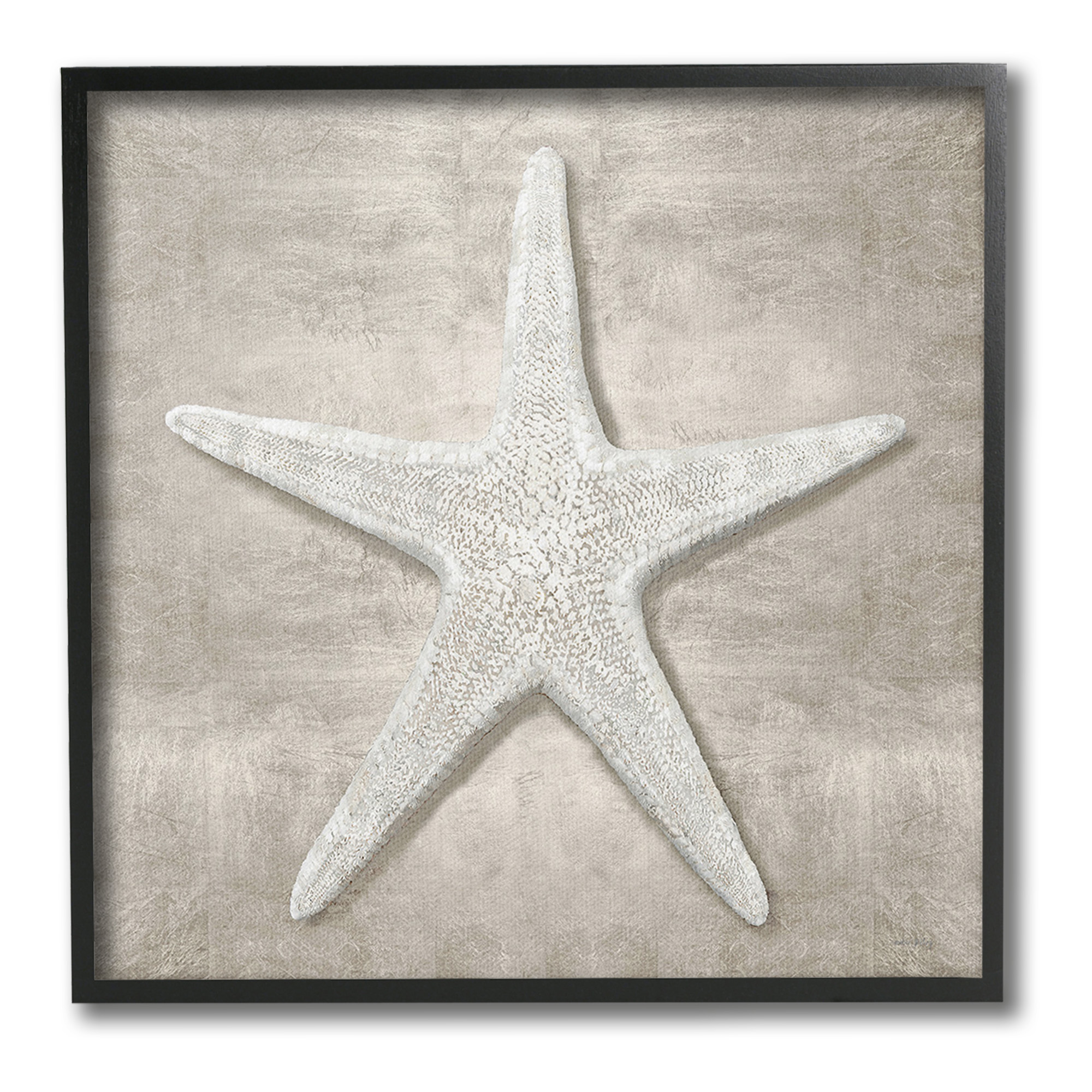 Stupell Industries Rustic Grey Starfish Nature Painting Black Framed Art Print Wall Art, 24 x 24
