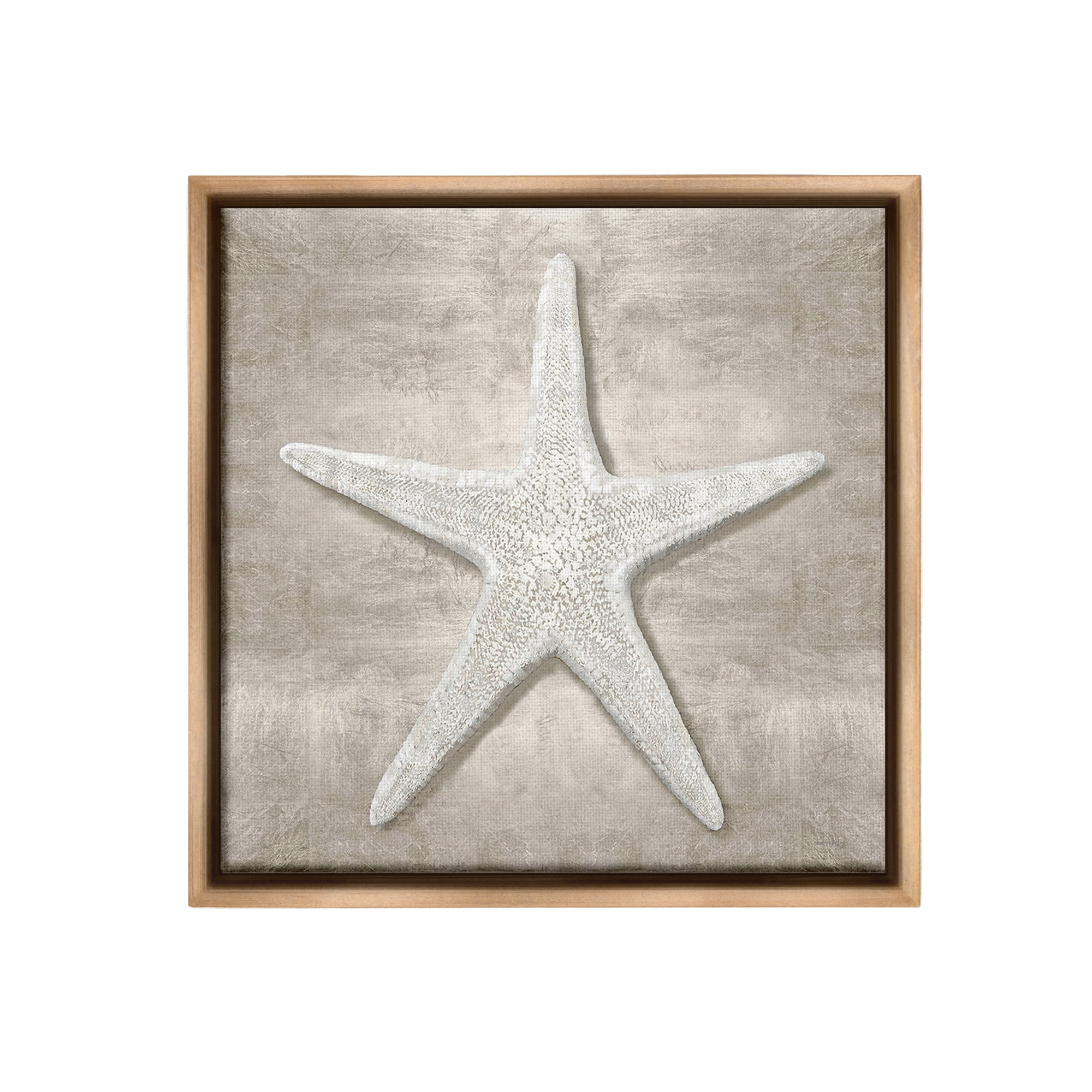 Stupell Industries Rustic Grey Starfish Nature Painting Brown Floater Framed Canvas Art Print Wall Art, 18 x 18