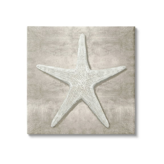 Stupell Industries Rustic Grey Starfish Nature Painting Gallery Wrapped Canvas Art Print Wall Art, 17 x 17