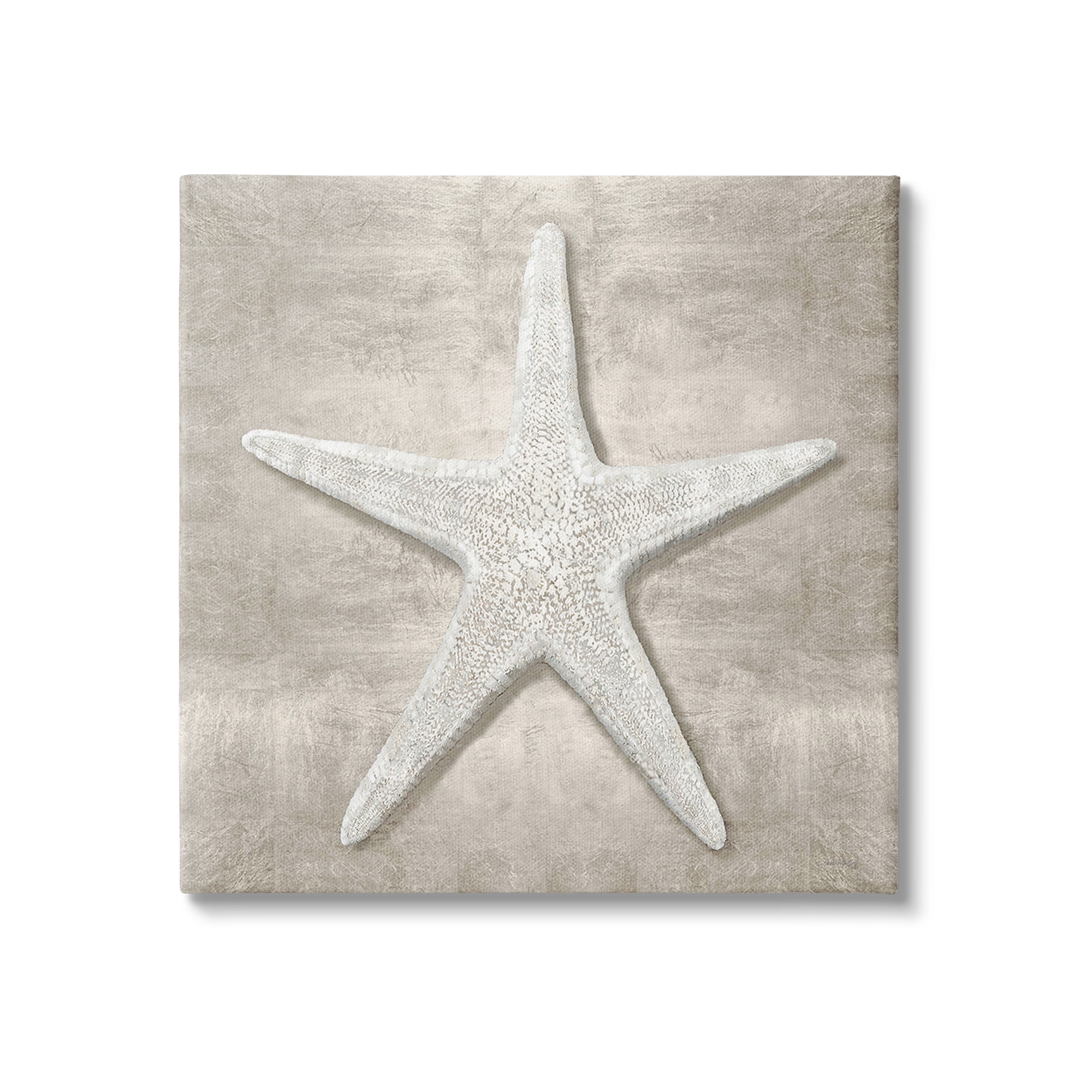 Stupell Industries Rustic Grey Starfish Nature Painting Gallery Wrapped Canvas Art Print Wall Art, 24 x 24