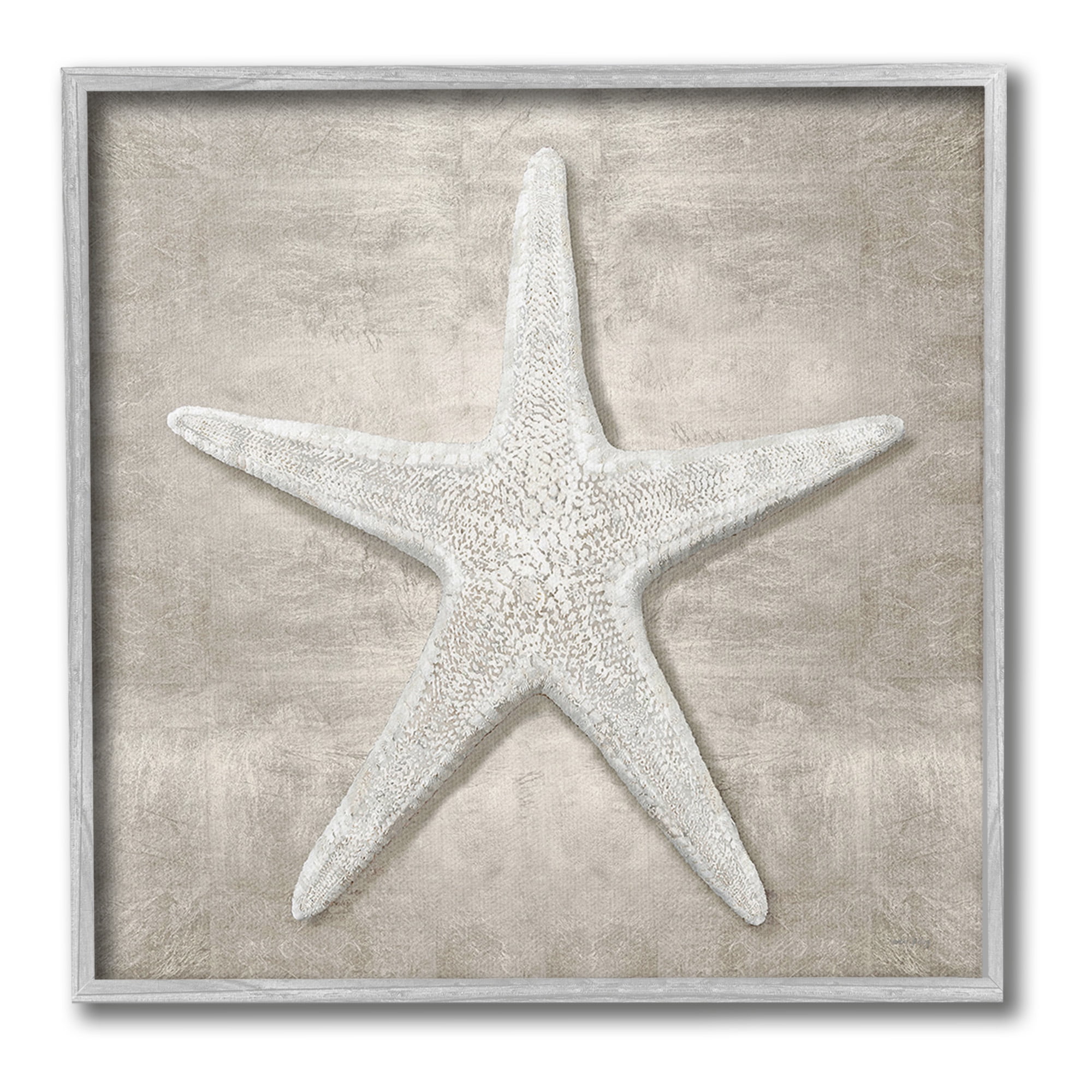 Stupell Industries Rustic Grey Starfish Nature Painting Gray Framed Art Print Wall Art, 24 x 24