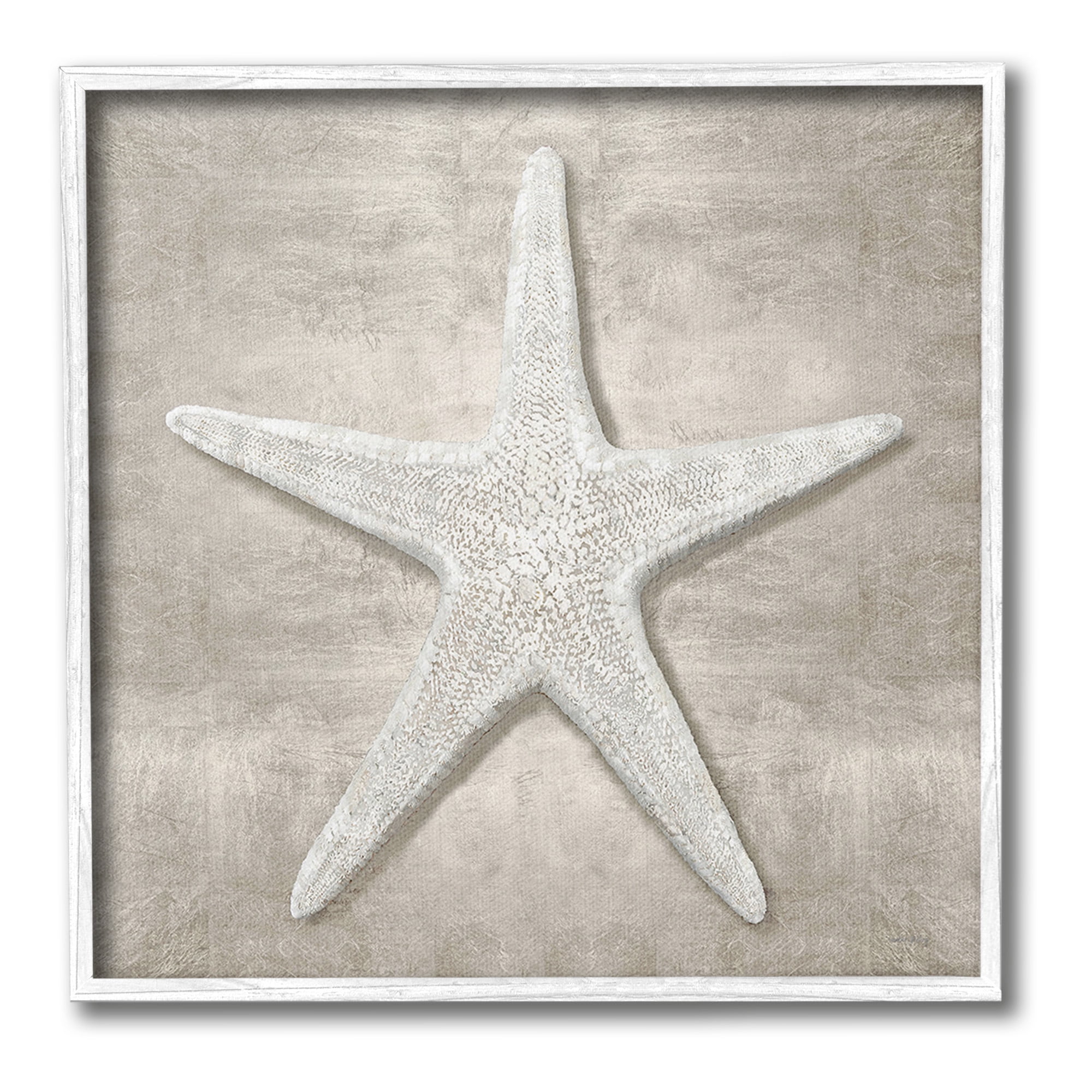 Stupell Industries Rustic Grey Starfish Nature Painting White Framed Art Print Wall Art, 17 x 17