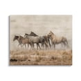 thumbnail image 1 of Stupell Industries Rustic Herd of Horses Animals & Insects Painting Gallery Wrapped Canvas Art Print Wall Art, 20 x 16, 1 of 8
