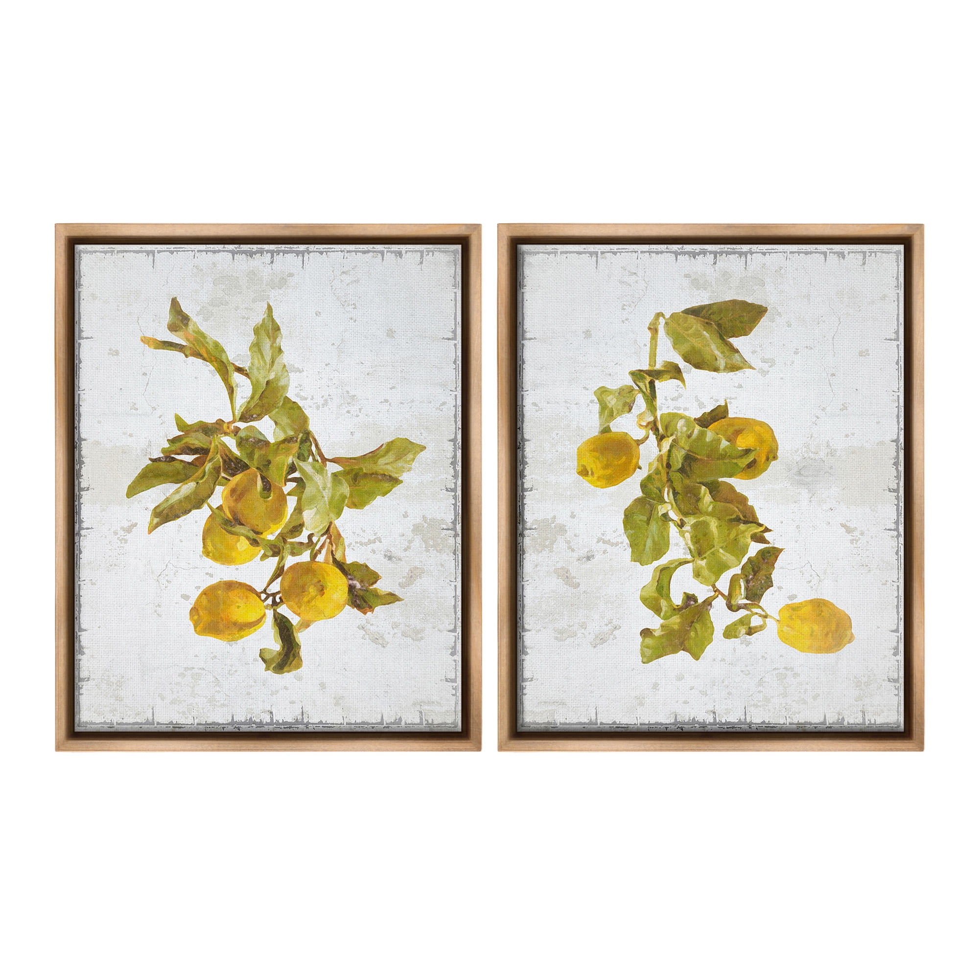 Stupell Industries Rustic Lemons & Leaves Food & Beverage Painting Brown Floater Framed Canvas Art Print Wall Art, 25 x 31, Set of 2