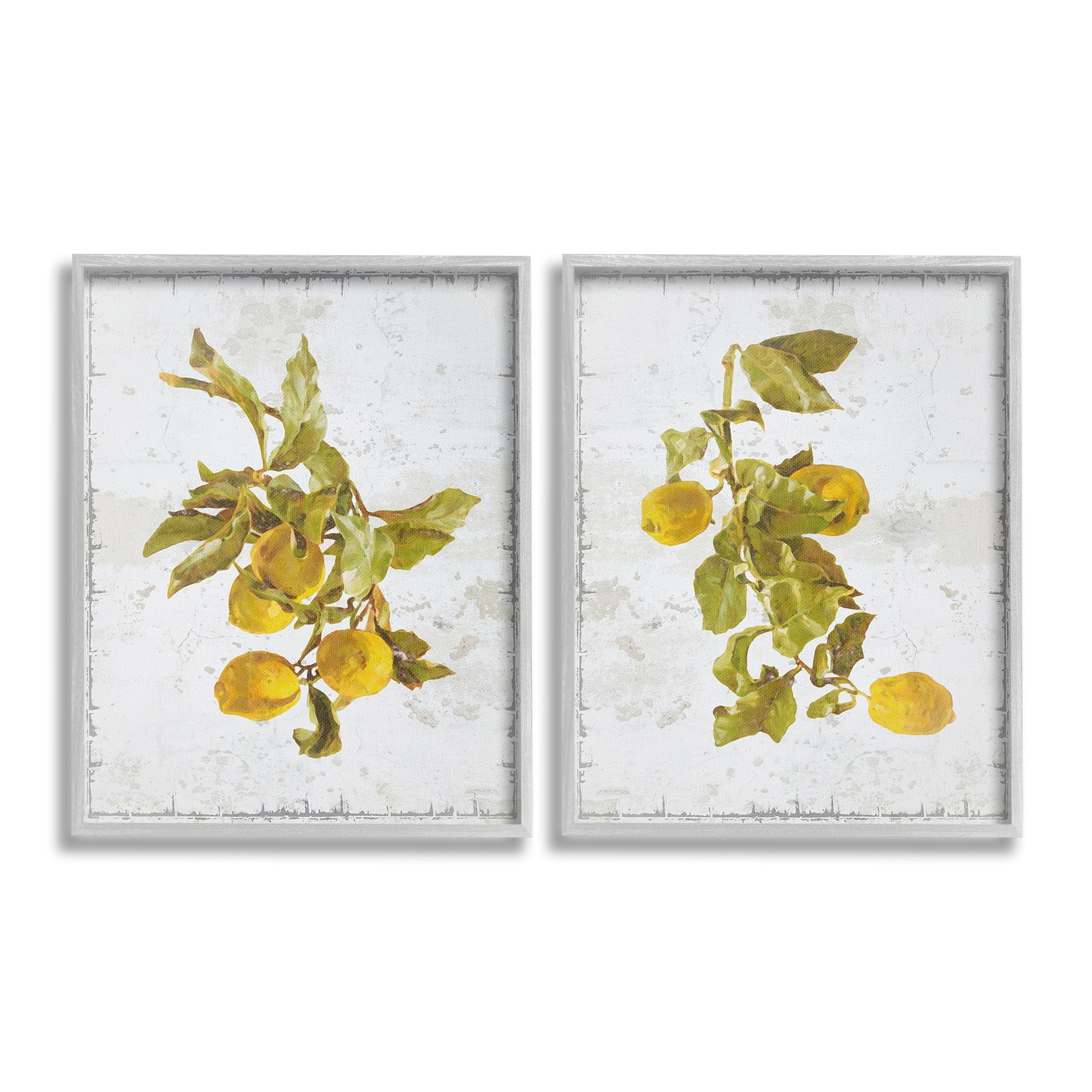Gray Framed Rustic Lemons & Leaves 11 x 14 Art Print Set
