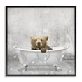 thumbnail image 1 of Stupell Industries Rustic Lodge Baby Bear Bath Time Black Framed Giclee Art, 12 x 12, by Kim Allen, 1 of 7