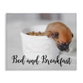 thumbnail image 1 of Stupell Industries Rustic Lodge Bed and Breakfast Funny Dog Canvas Art, 20 x 16, by Ziwei Li, 1 of 7