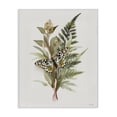 thumbnail image 1 of Stupell Industries Rustic Lodge Butterfly Grove Forest Ferns Canvas Art, 16 x 20, by House Fenway, 1 of 6