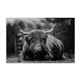 thumbnail image 1 of Stupell Industries Rustic Lodge Cattle Laying in Grass Canvas Art, 30 x 20, by Dakota Diener, 1 of 8